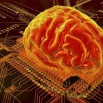 cerebro_0